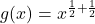 g(x) = x^{\frac{1}{2} + \frac{1}{2}}