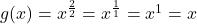 g(x) = x^{\frac{2}{2}} = x^{\frac{1}{1}} = x^{1} = x