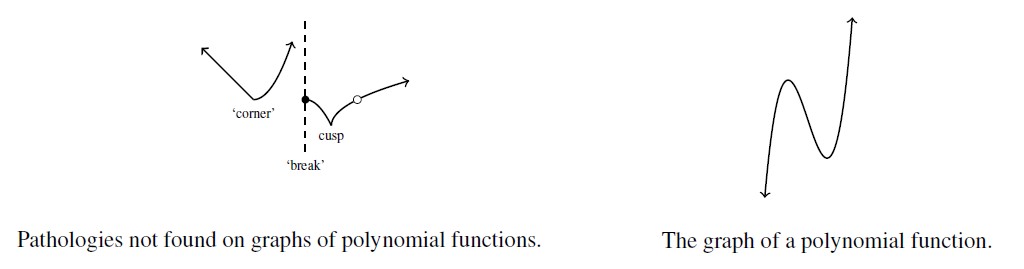 Two graphs side by side. The first graph includes a break, a corner, a cusp, and a hole in the graph. Each are labeled with the corresponding word. The graph is labeled Pathologies not found on graphs of polynomial functions. The second graph is a generic odd degree polynomial. The graph is labeled The graph of a polynomial function.