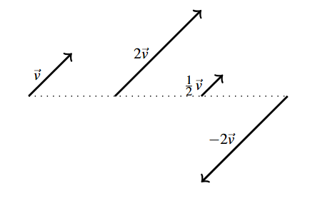 For vectors side by side. The first is vector v with the initial point on a dashed line. The second vector is in the same direction as v, but twice as long. The third vector is in the same direction as v, but half as long. The last vector is the same length as 2v, but in the opposite direction. All four vectors start at the horizontal dashed line.